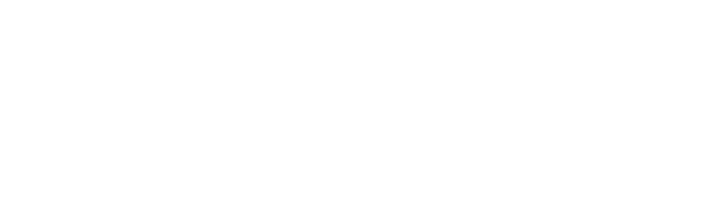 Accelleran_NewLogo