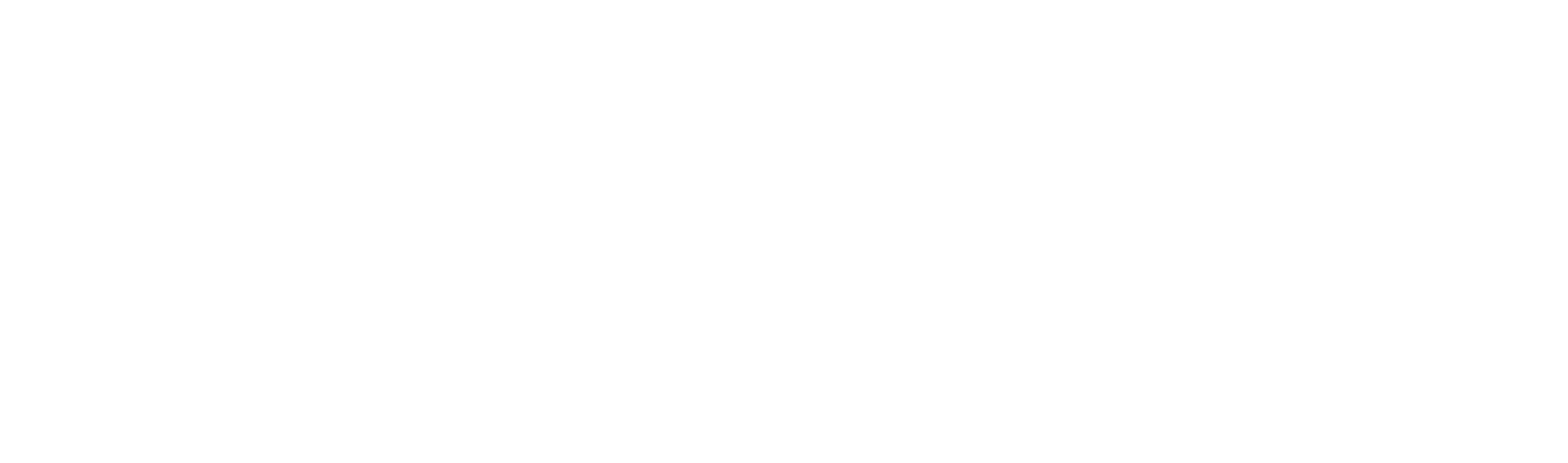 Accelleran_NewLogo